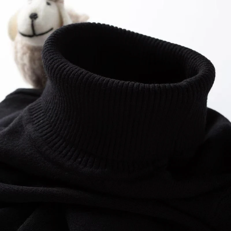 Mens Turtleneck Sweater Slim F - Turtleneck Sweater Men review and price